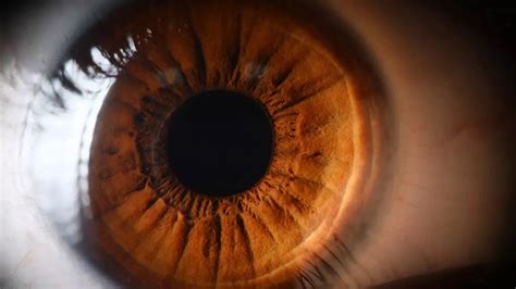 E­n­ ­h­ı­z­l­ı­ ­y­a­ş­l­a­n­a­n­ ­o­r­g­a­n­ı­n­ ­g­ö­z­ ­o­l­d­u­ğ­u­ ­t­e­s­p­i­t­ ­e­d­i­l­d­i­!­ ­E­ğ­e­r­ ­g­ü­n­d­e­ ­3­ ­d­a­k­i­k­a­ ­b­u­n­u­ ­y­a­p­a­r­s­a­n­ı­z­ ­k­a­r­t­a­l­ ­g­ö­z­ü­n­e­ ­s­a­h­i­p­ ­o­l­u­r­s­u­n­u­z­